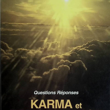 Karma et réincarnation révélations inédites - Philippe Morando - 1998 - livre