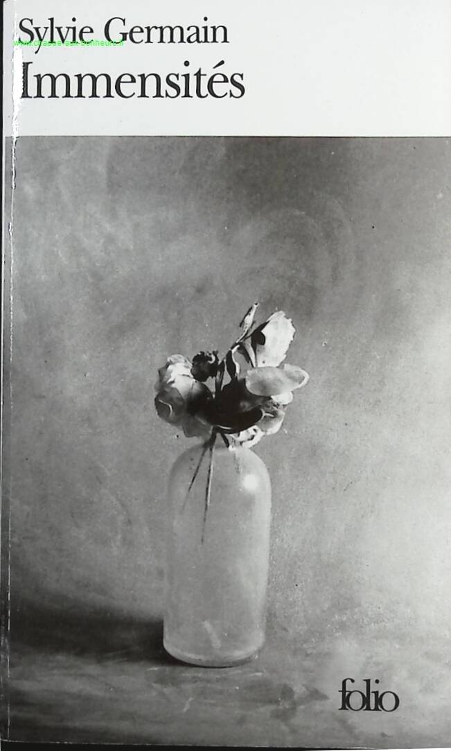 Immensities - Sylvie Germain - book