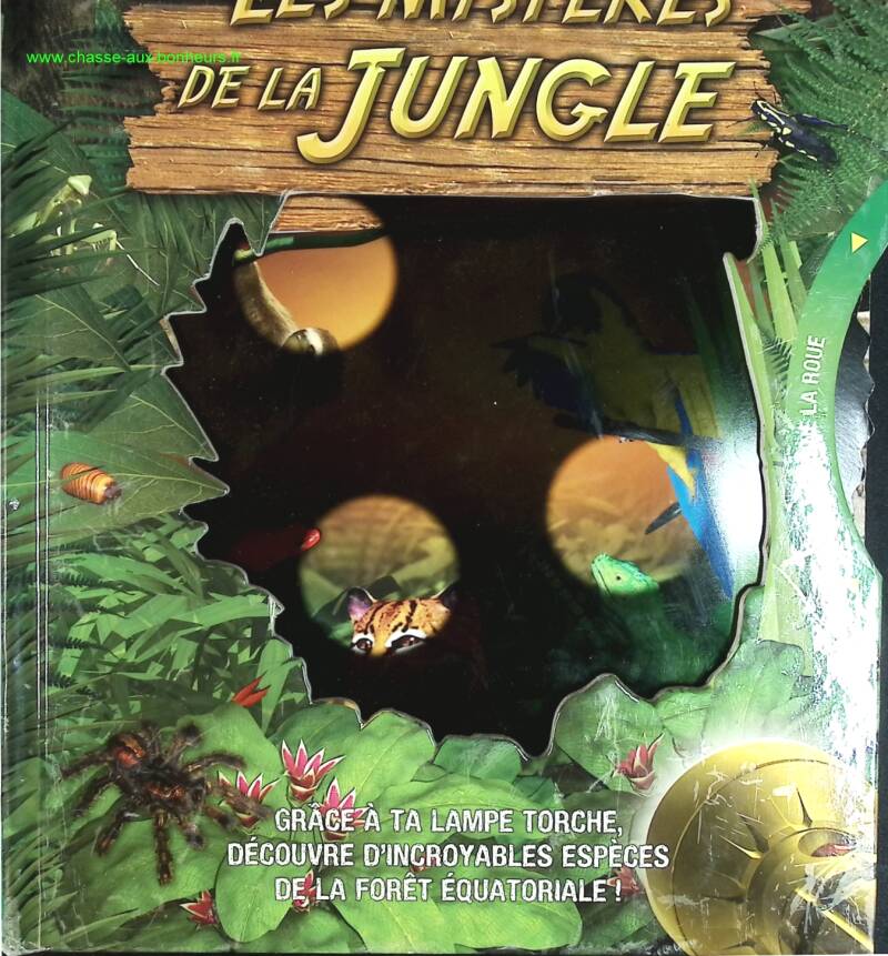 The Mysteries of the Jungle - Michael Bright - book