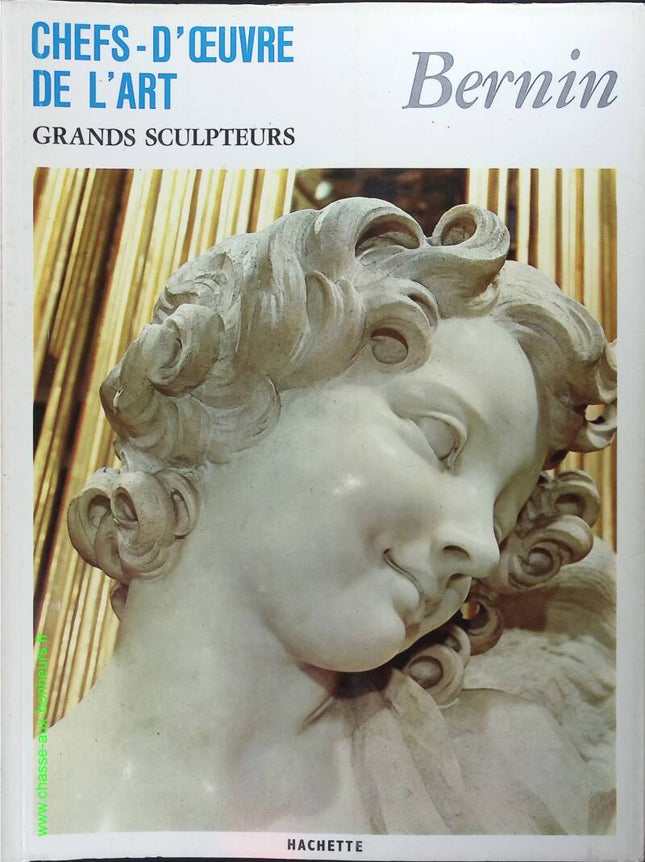 Bernini Nr. 141 - Meisterwerke der Kunst - Große Maler - Buch