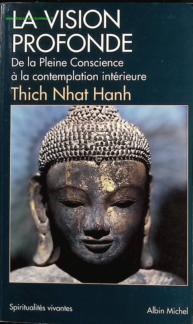Deep Vision - From Mindfulness to Inner Contemplation - Thich Nhat Hanh - Book