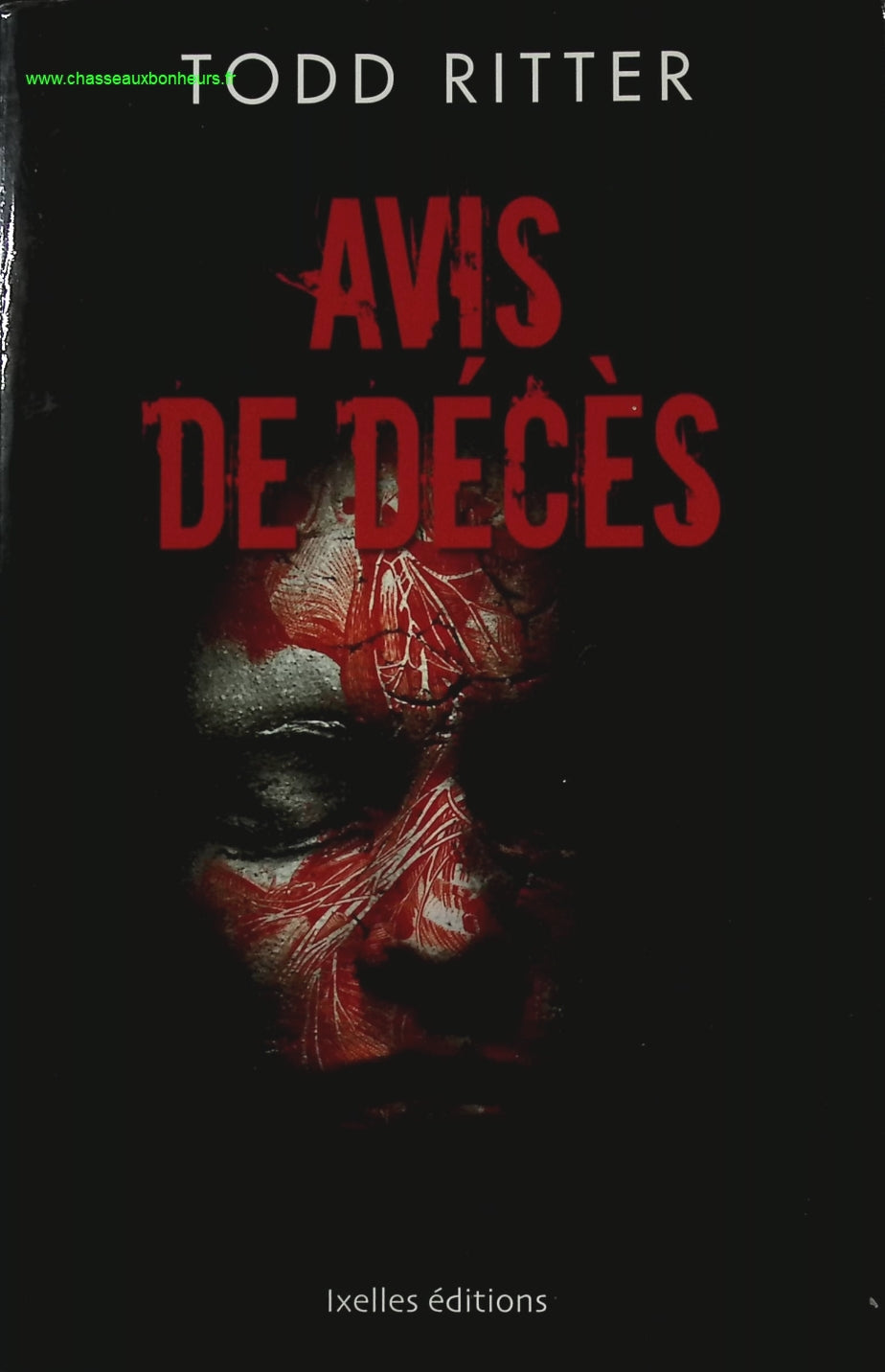 Someone Good - Françoise Bourdin - book