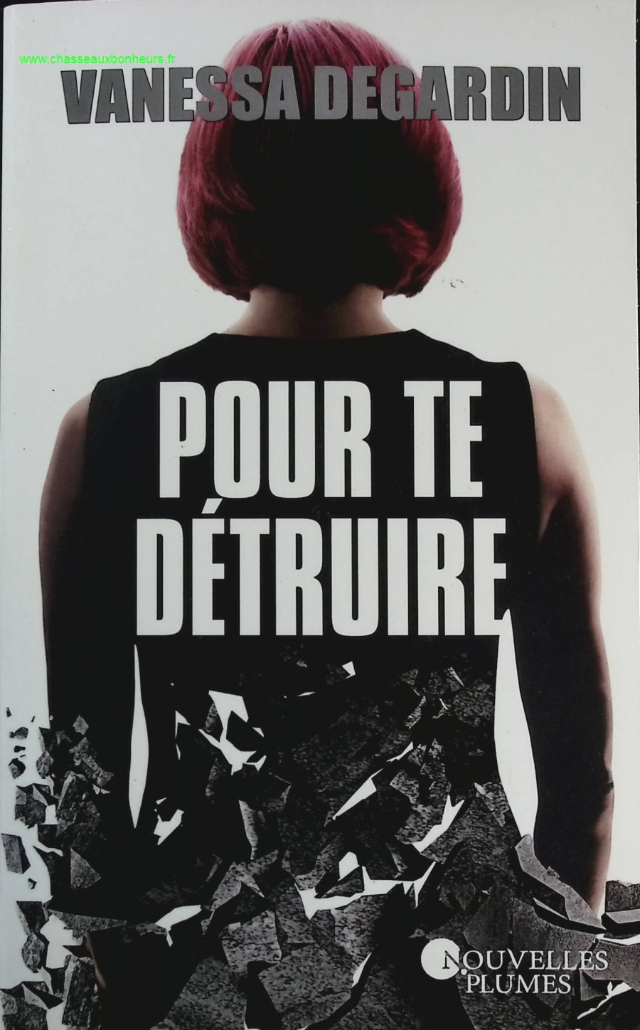 Someone Good - Françoise Bourdin - book