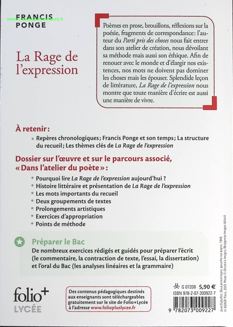 Someone Good - Françoise Bourdin - book