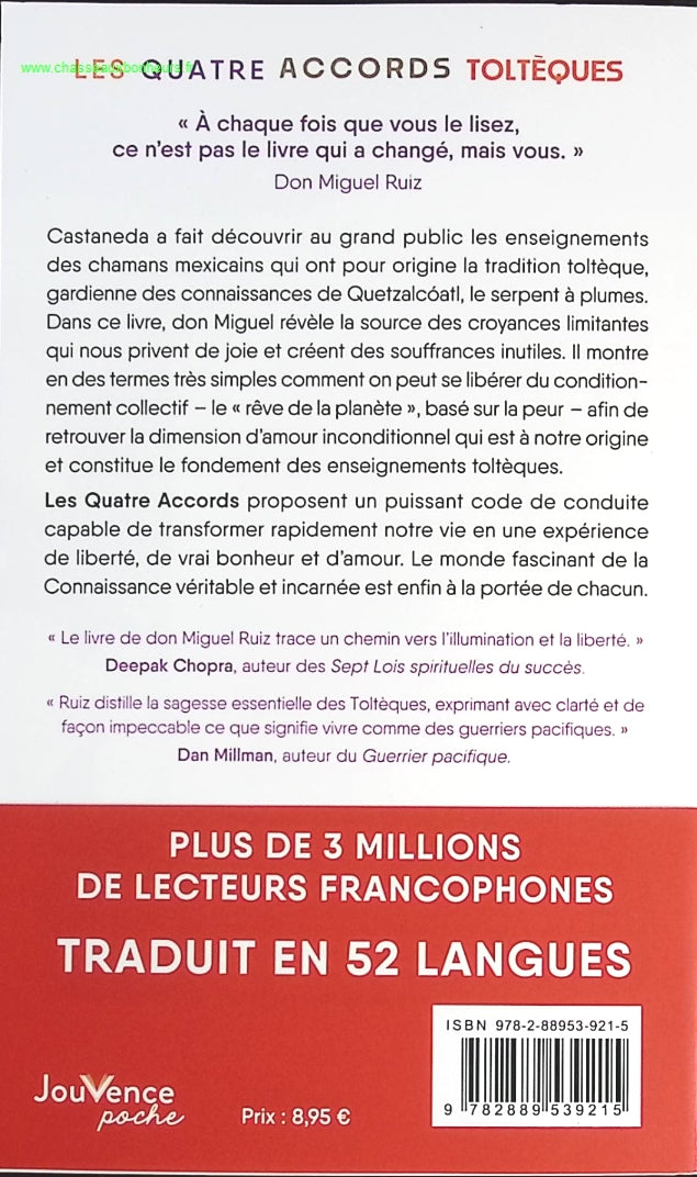 Someone Good - Françoise Bourdin - book