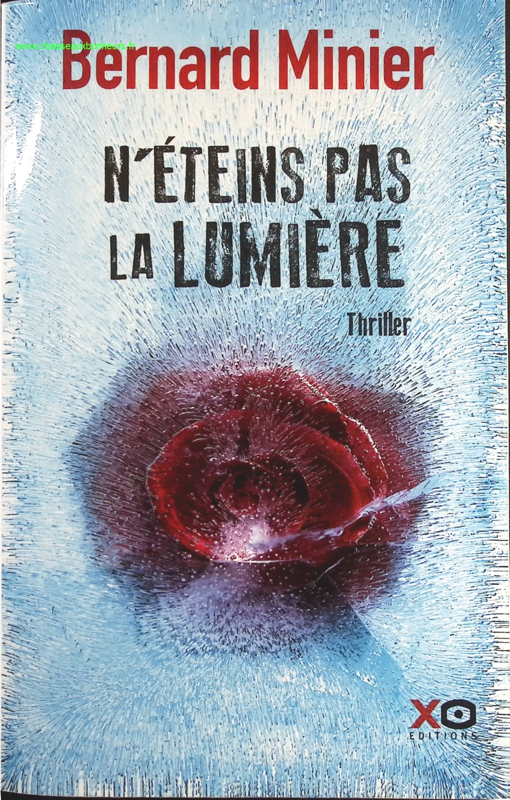 Someone Good - Françoise Bourdin - book