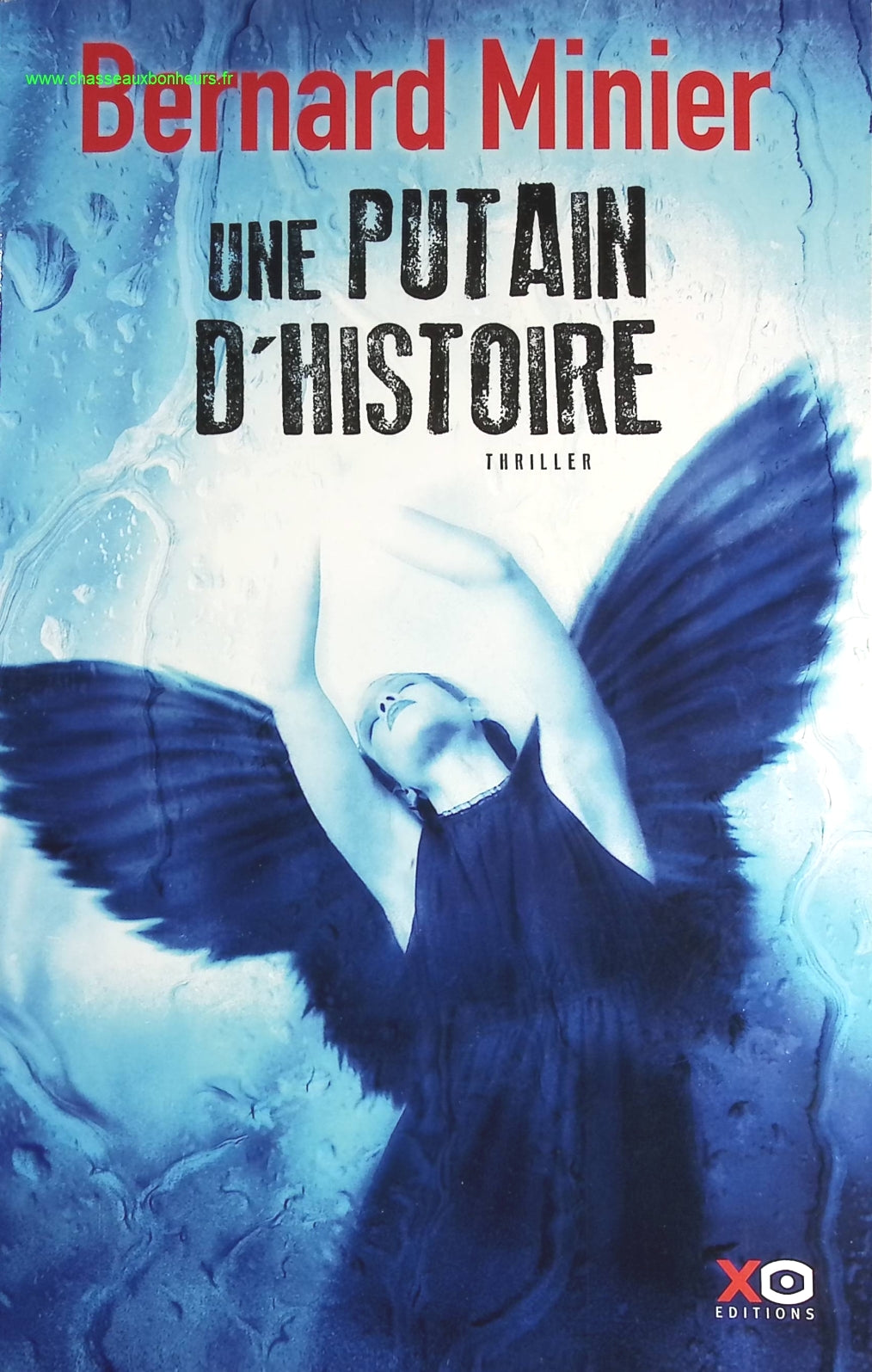 Someone Good - Françoise Bourdin - book