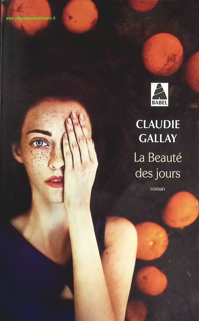 La Beauté des jours – Claudie Gallay – roman contemporain introspectif quotidien émotions occasion - livre