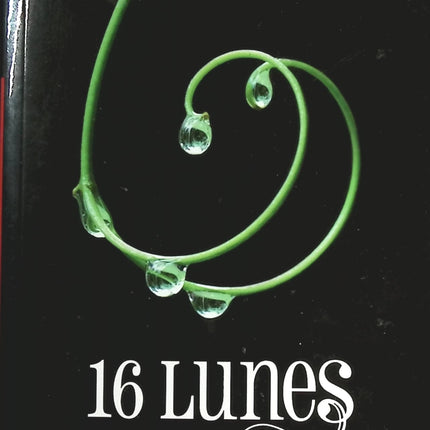 Jemand Gutes – Françoise Bourdin – Buch