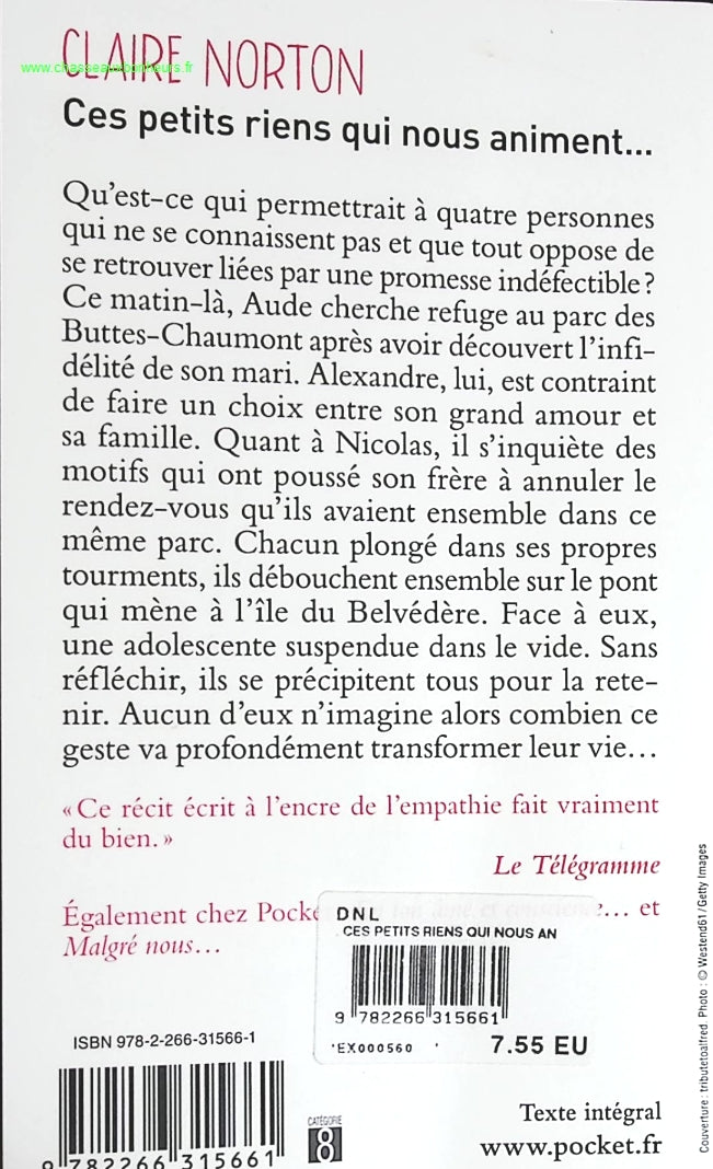 Temptation - Stephenie Meyer - Buch