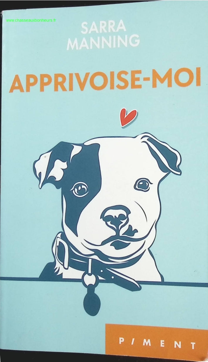 Someone Good - Françoise Bourdin - book