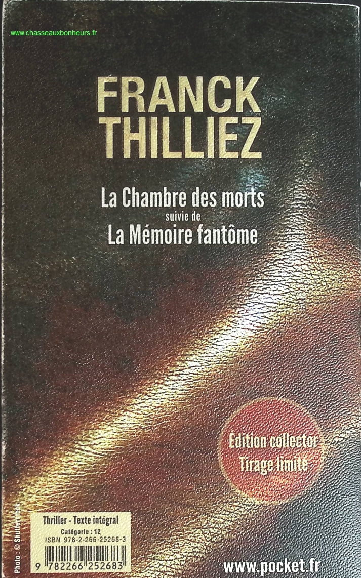 Temptation - Stephenie Meyer - Buch