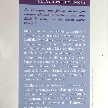 Das Versprechen des Ozeans - Françoise Bourdin - Buch