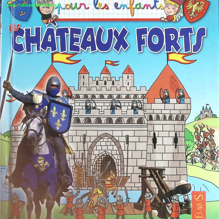 Les châteaux forts - Emmanuelle Lepetit - livre