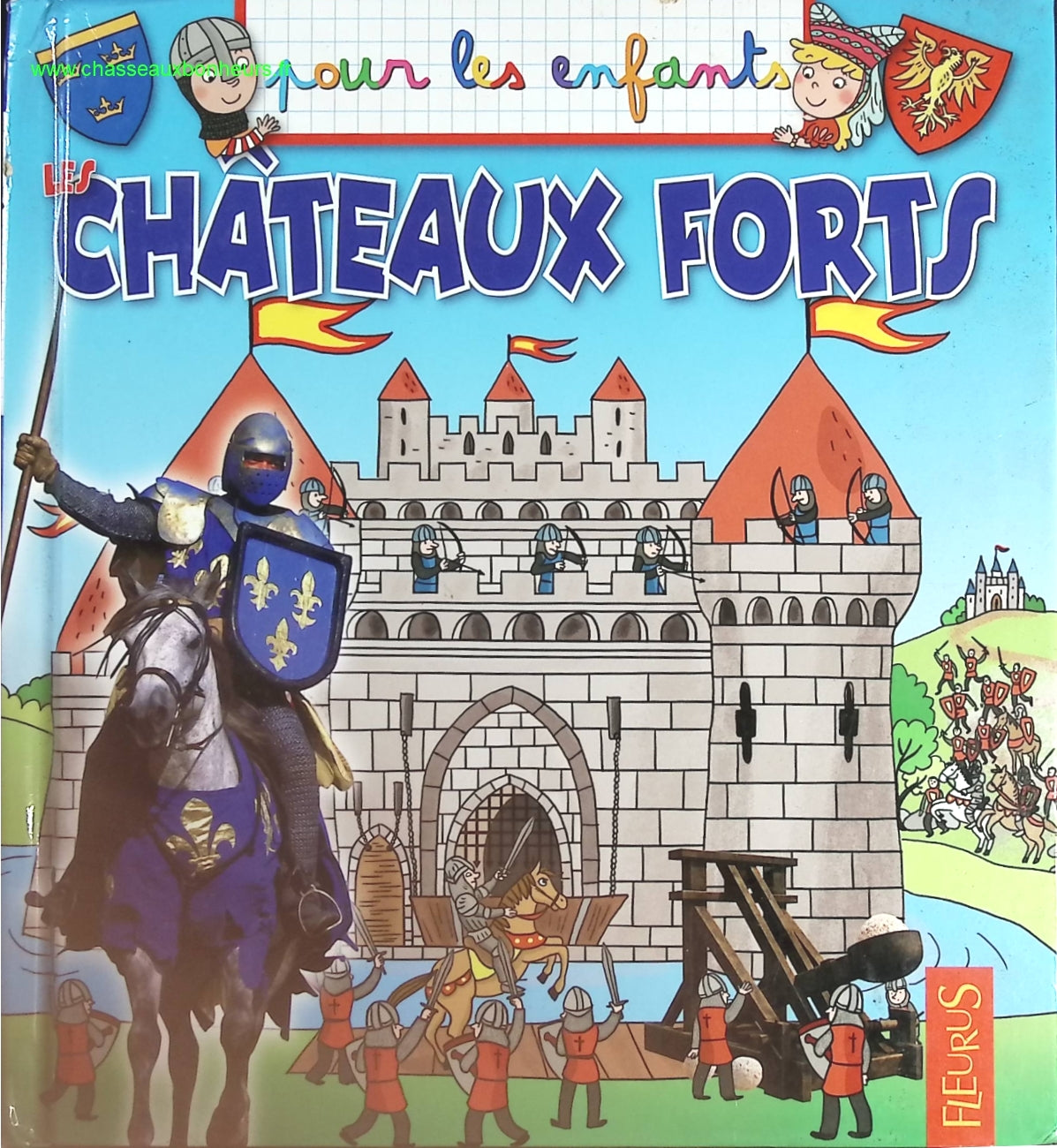 Les châteaux forts - Emmanuelle Lepetit - livre