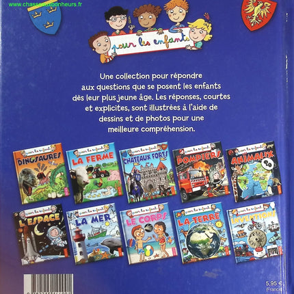 Les châteaux forts - Emmanuelle Lepetit - livre