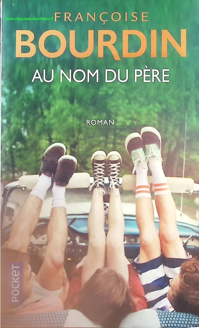 In the Name of the Father - Françoise Bourdin - book