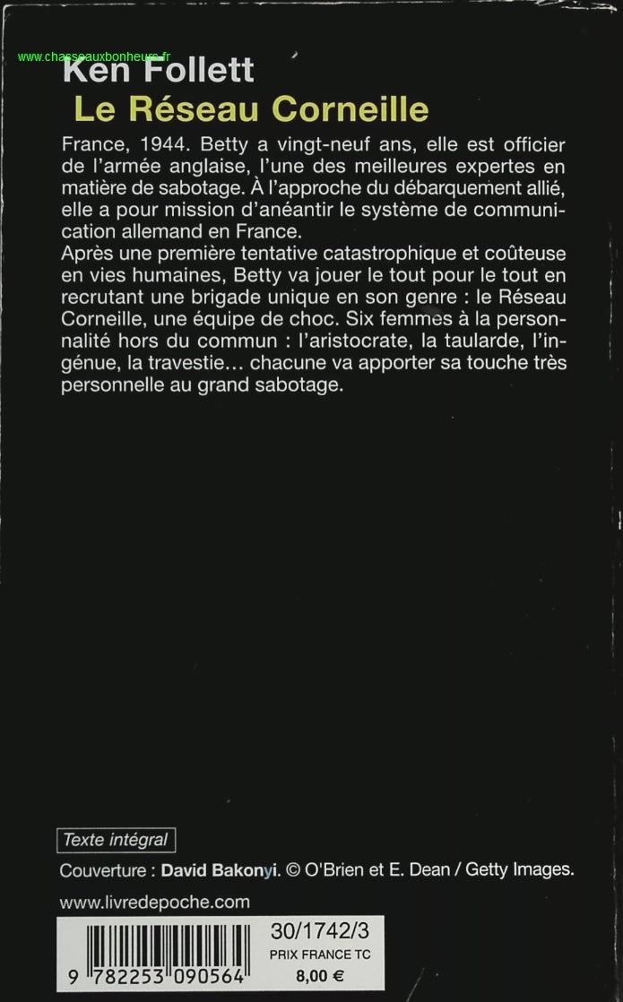 Someone Good - Françoise Bourdin - book