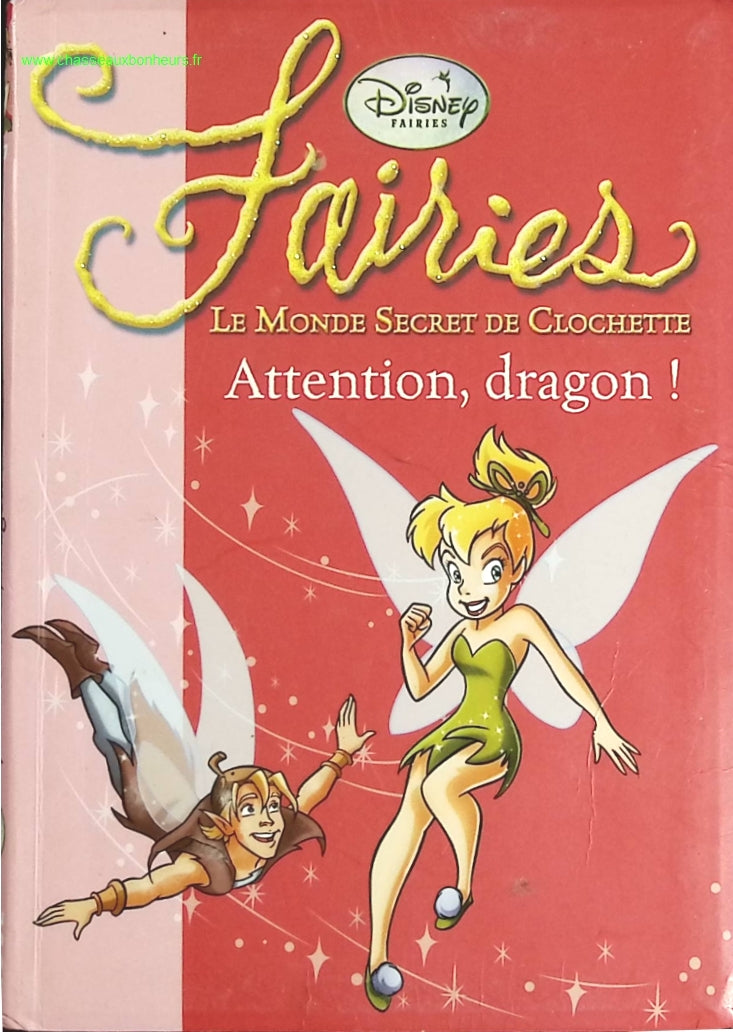 Temptation - Stephenie Meyer - Buch