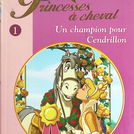 Un champion pour Cendrillon - Bibliothèque Rose - livre