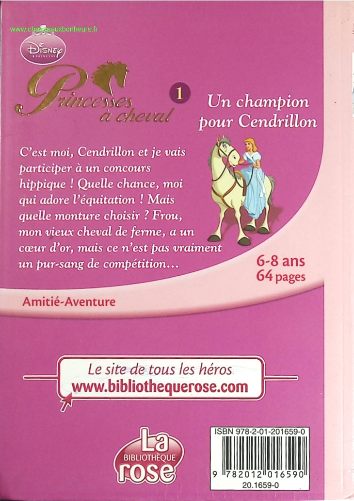 Un champion pour Cendrillon - Bibliothèque Rose - livre