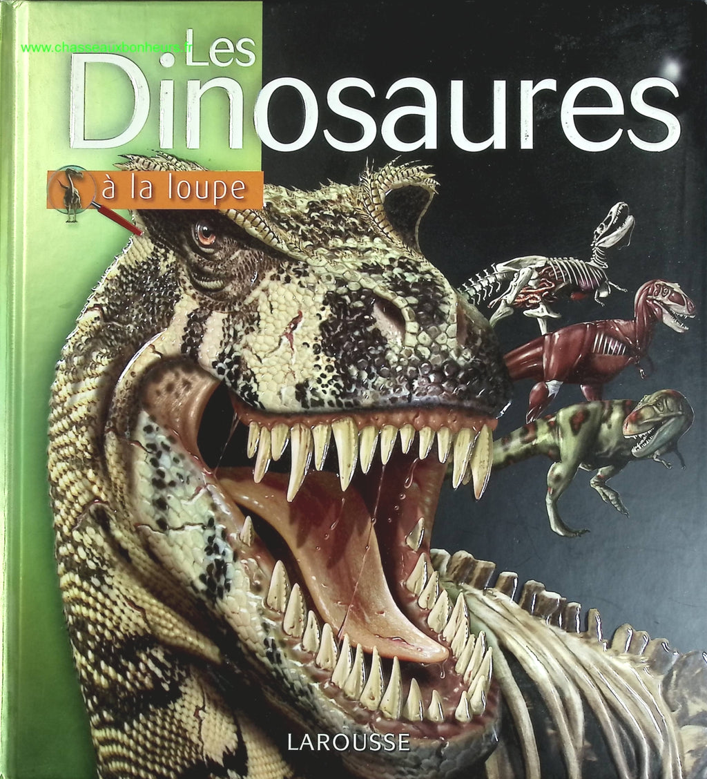 Les Dinosaures - A la loupe - livre
