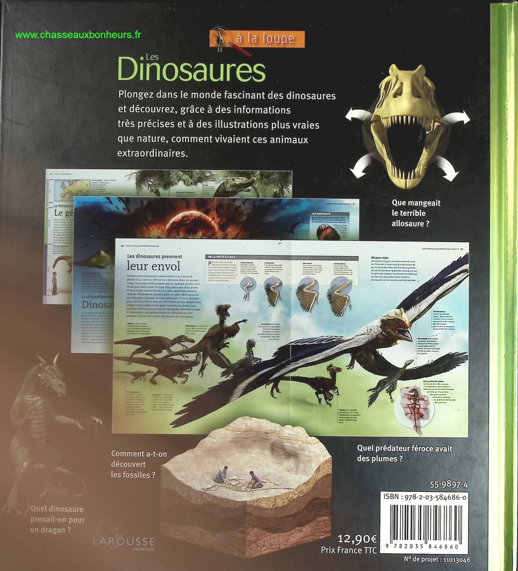 Les Dinosaures - A la loupe - livre