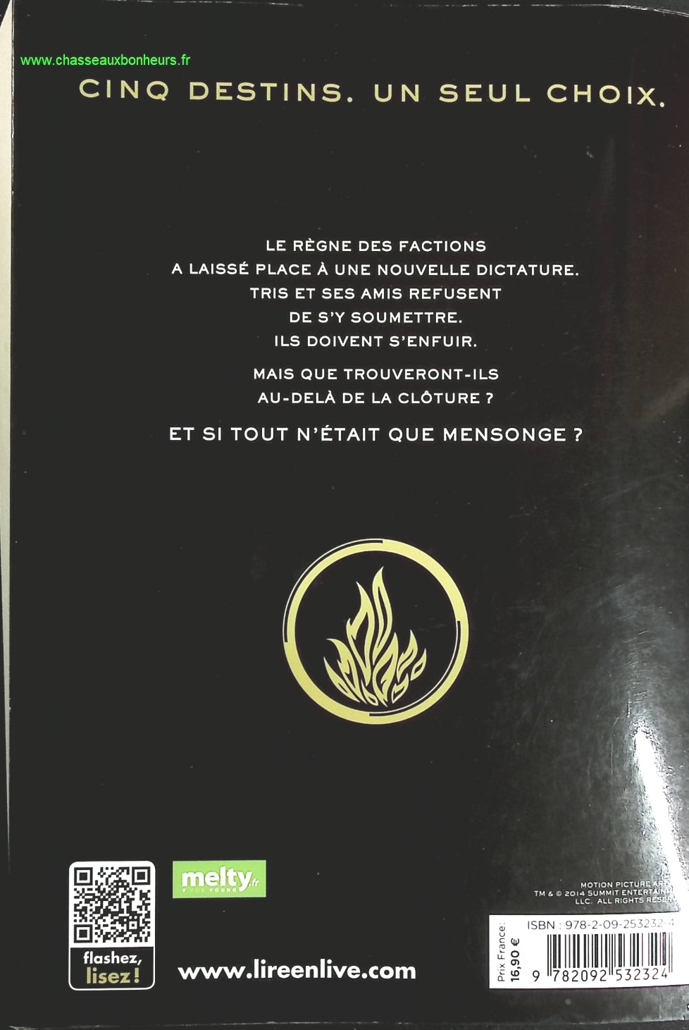 Temptation - Stephenie Meyer - Buch