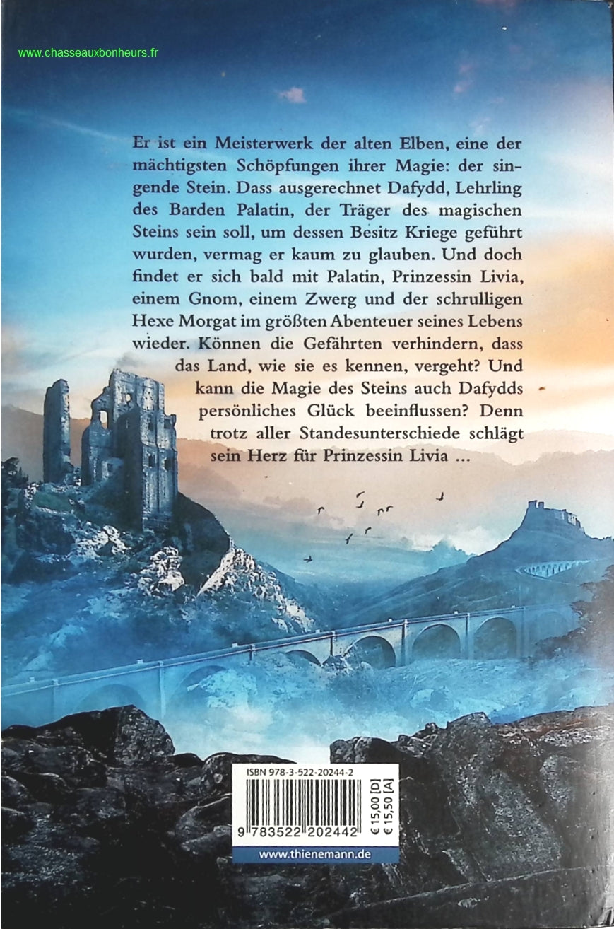 Die Prophezeiung des magischen Steins - Stephan M. Rother - livre en Allemand