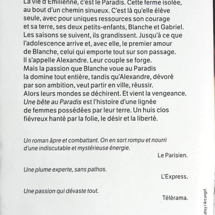 Temptation - Stephenie Meyer - Buch