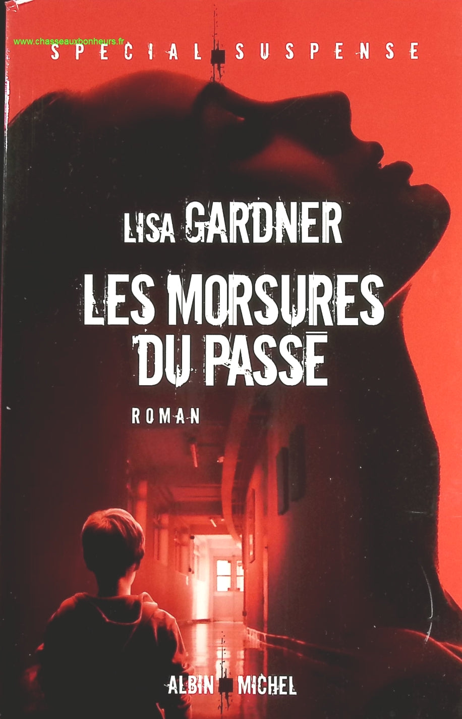 Les Morsures du passé - Lisa Gardner - livre