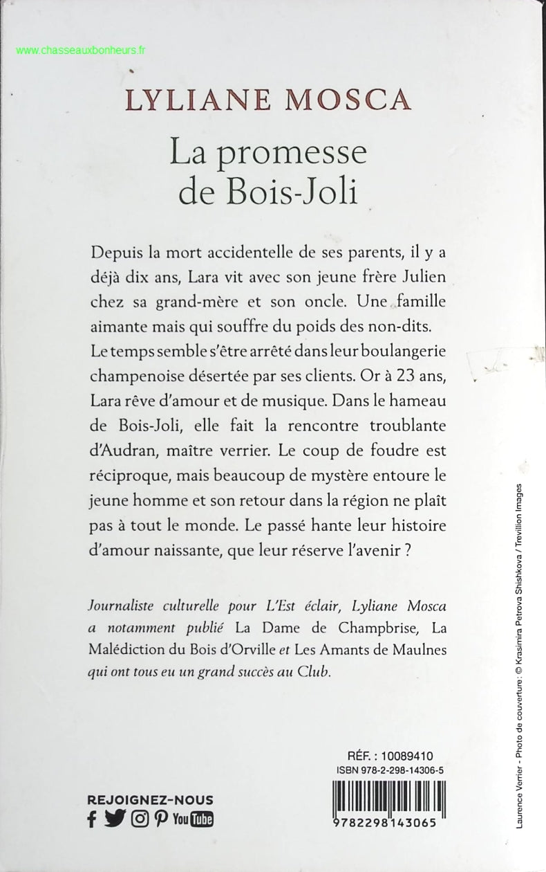 Temptation - Stephenie Meyer - Buch