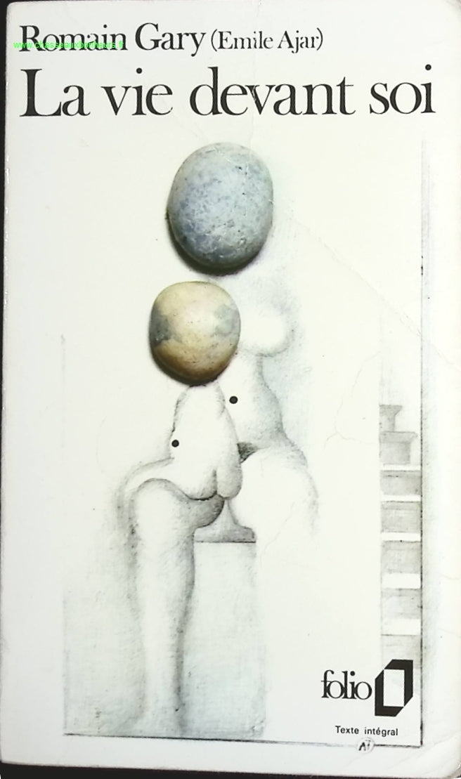 Temptation - Stephenie Meyer - Buch