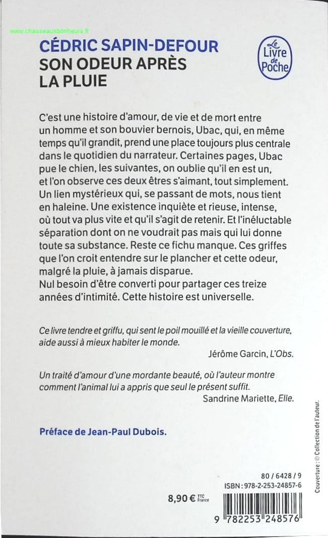 Temptation - Stephenie Meyer - Buch