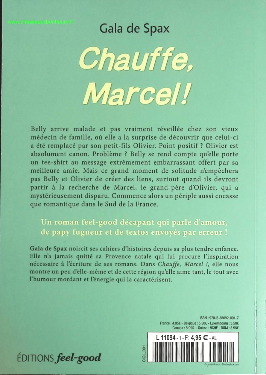 Temptation - Stephenie Meyer - Buch