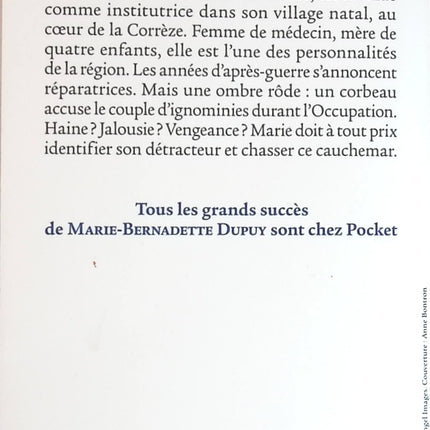 L’orpheline du bois des loups - Tome 2 - La demoiselle des Bories – Marie-Bernadette Dupuy – roman historique familial et saga émouvante occasion pas cher - livre