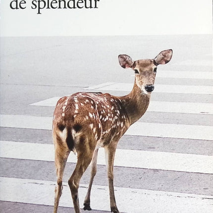 Un bref instant de splendeur - Ocean Vuong - livre