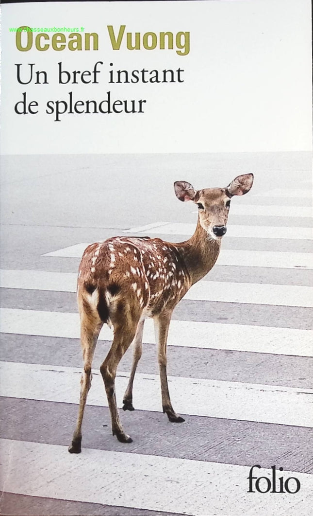 Un bref instant de splendeur - Ocean Vuong - livre