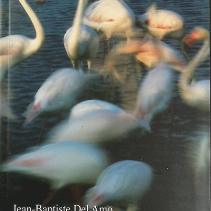 Le Sel - Jean Baptiste Del Amo - livre