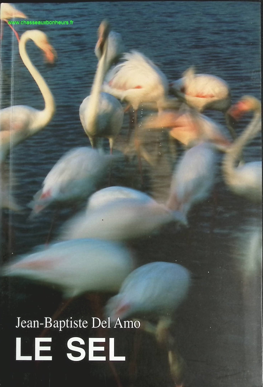 Temptation - Stephenie Meyer - Buch