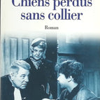 Lost Dogs Without Collars - Gilbert Cesbron - book