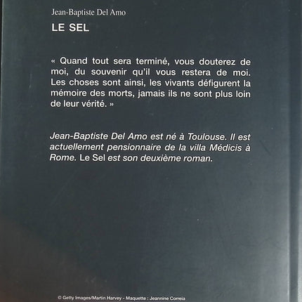 Le Sel - Jean Baptiste Del Amo - livre