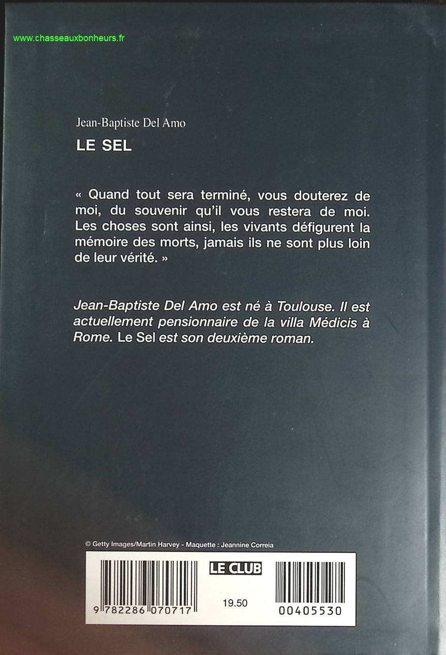 Temptation - Stephenie Meyer - Buch