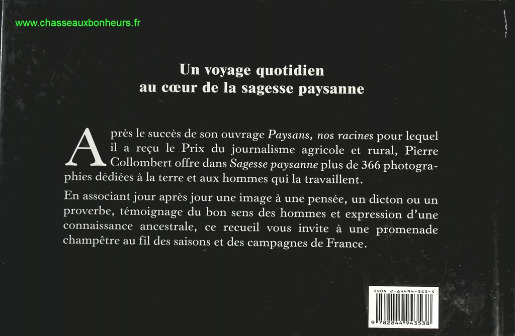 Someone Good - Françoise Bourdin - book