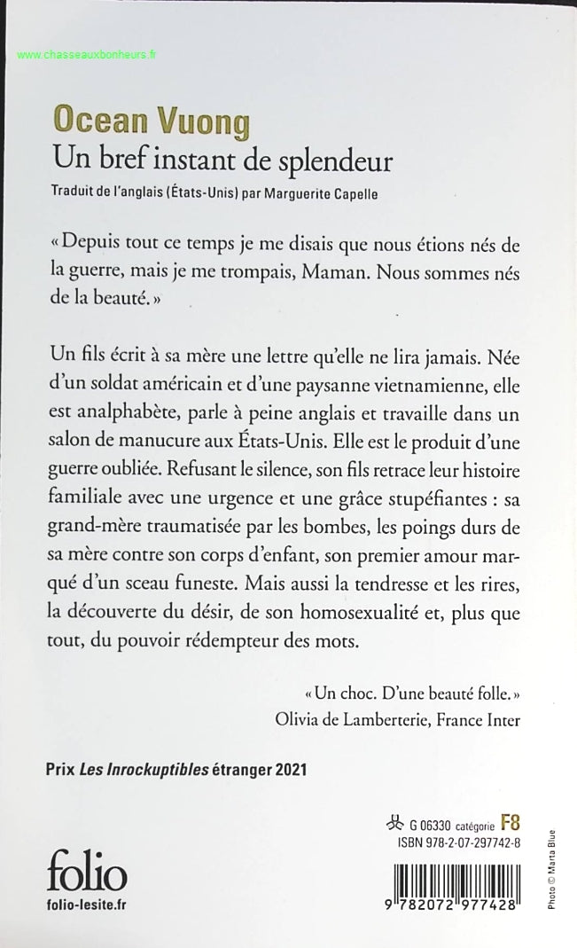 Someone Good - Françoise Bourdin - book