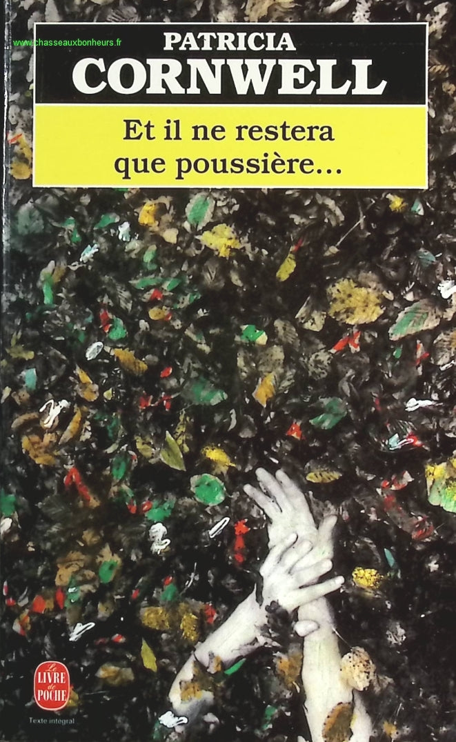 Someone Good - Françoise Bourdin - book