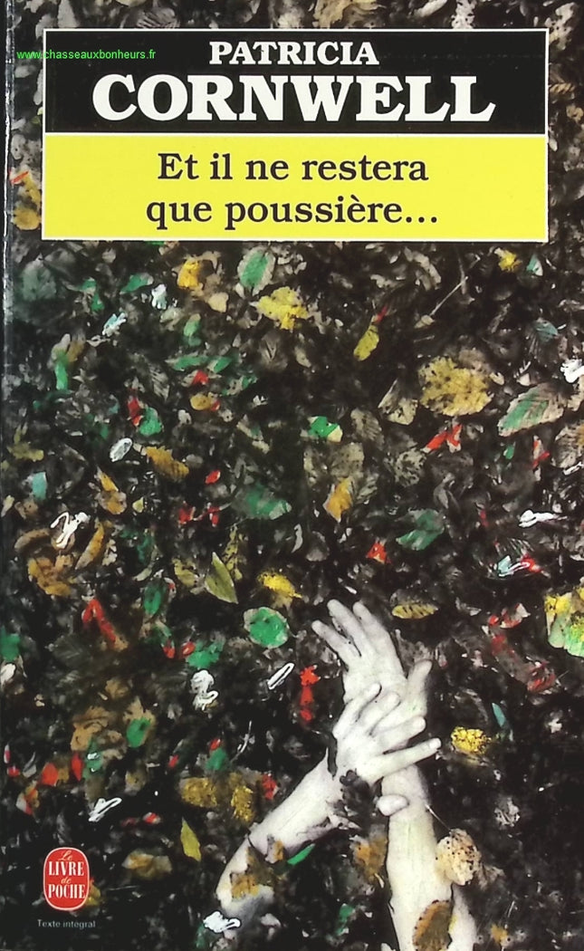 Someone Good - Françoise Bourdin - book