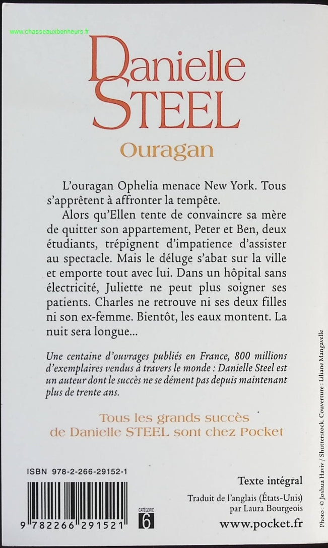 Someone Good - Françoise Bourdin - book