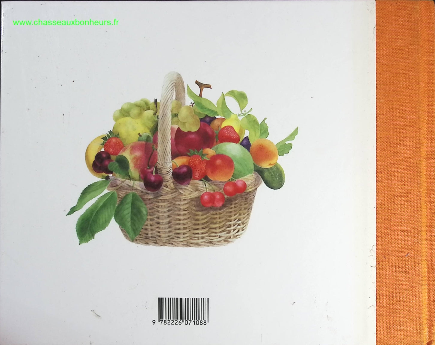 Temptation - Stephenie Meyer - book