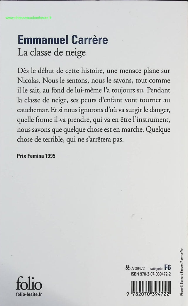 Someone Good - Françoise Bourdin - book